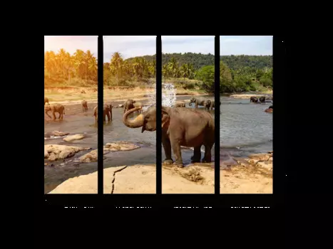 Модульная картина Picsis