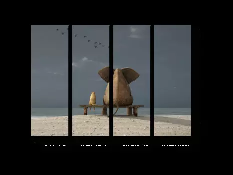 Модульная картина Picsis