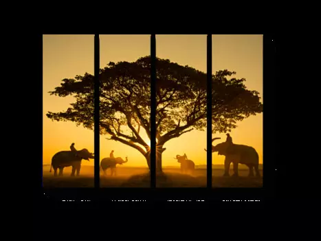 Модульная картина Picsis