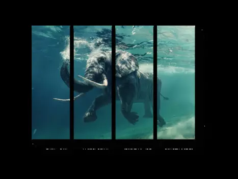 Модульная картина Picsis