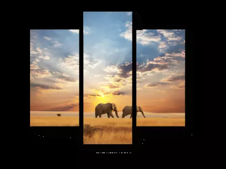 Модульная картина Picsis