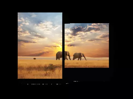 Модульная картина Picsis