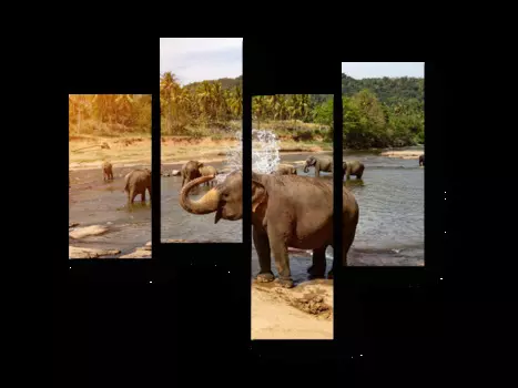 Модульная картина Picsis