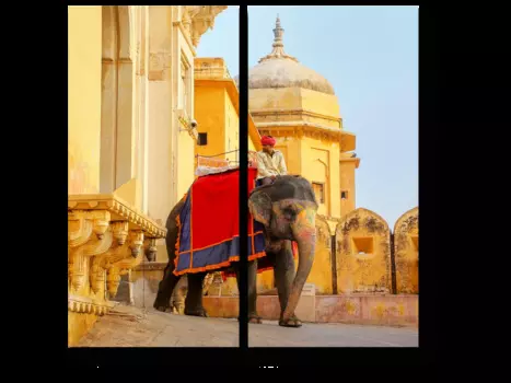 Модульная картина Picsis