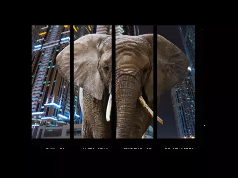 Модульная картина Picsis