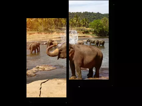 Модульная картина Picsis