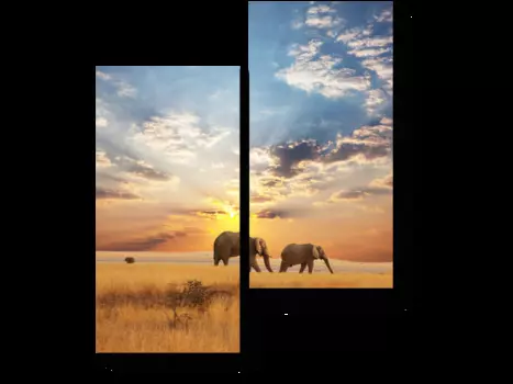 Модульная картина Picsis