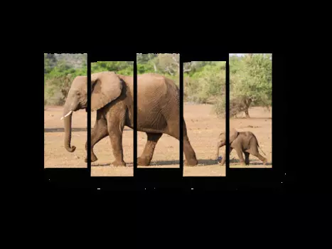 Модульная картина Picsis