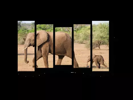 Модульная картина Picsis