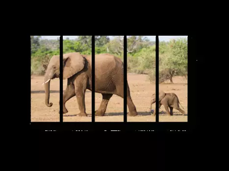 Модульная картина Picsis