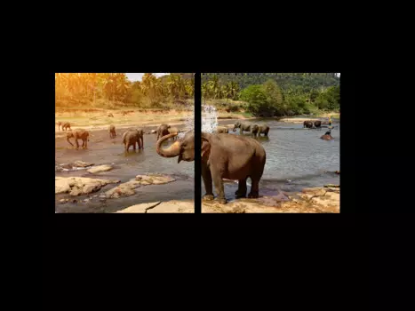 Модульная картина Picsis