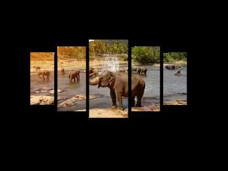 Модульная картина Picsis