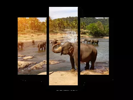 Модульная картина Picsis