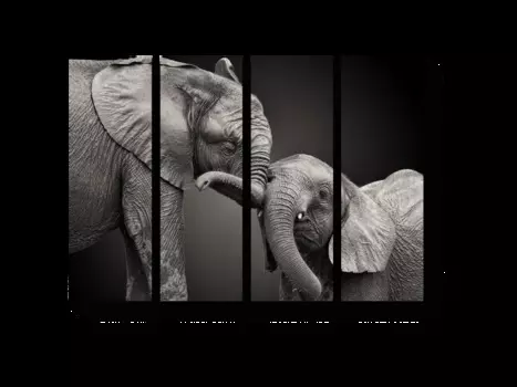 Модульная картина Picsis