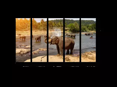 Модульная картина Picsis