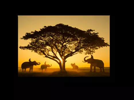 Модульная картина Picsis