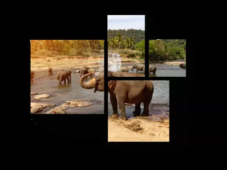 Модульная картина Picsis