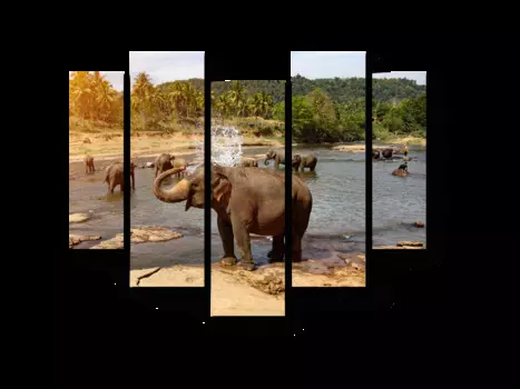 Модульная картина Picsis