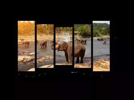 Модульная картина Picsis