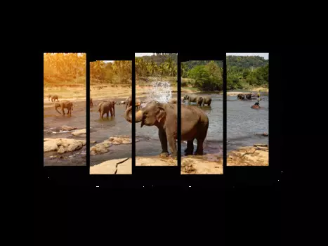 Модульная картина Picsis