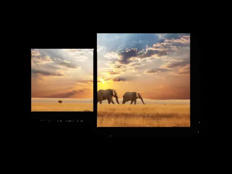 Модульная картина Picsis