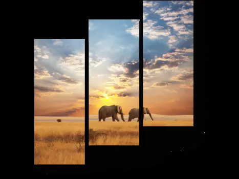 Модульная картина Picsis