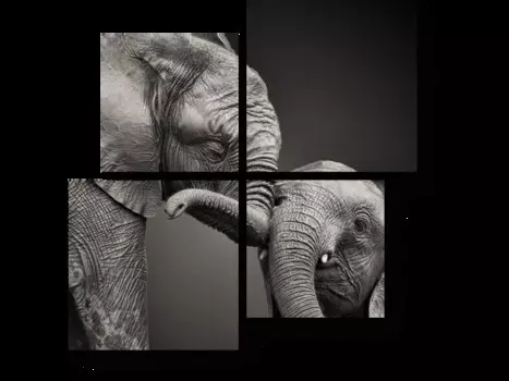 Модульная картина Picsis