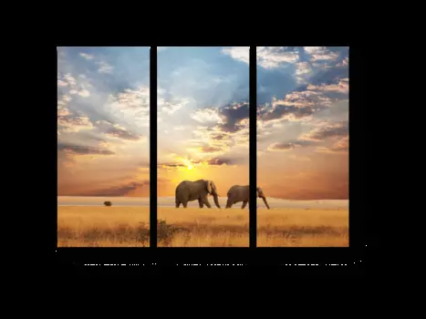 Модульная картина Picsis