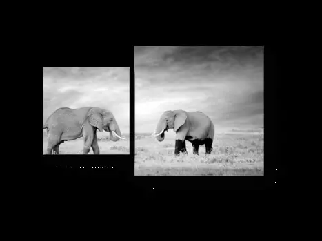 Модульная картина Picsis