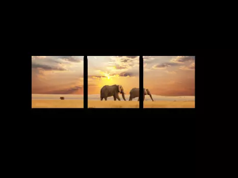 Модульная картина Picsis