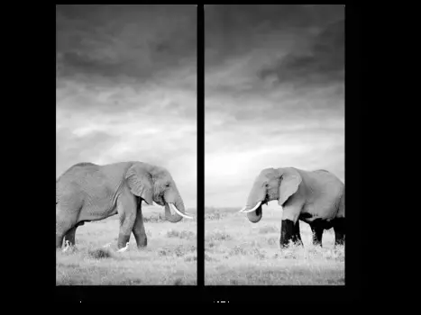 Модульная картина Picsis