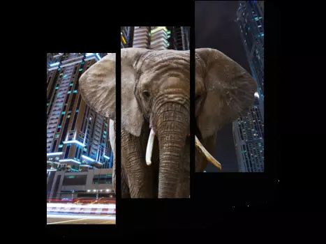 Модульная картина Picsis