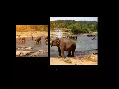 Модульная картина Picsis