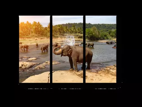 Модульная картина Picsis