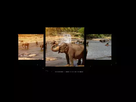 Модульная картина Picsis