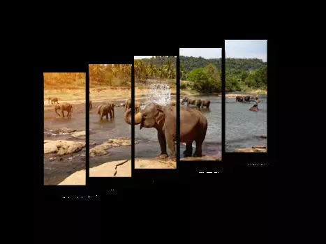 Модульная картина Picsis