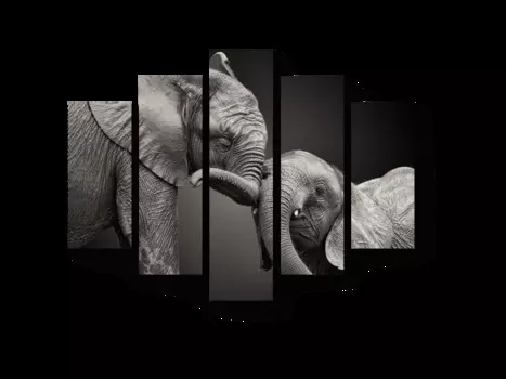 Модульная картина Picsis