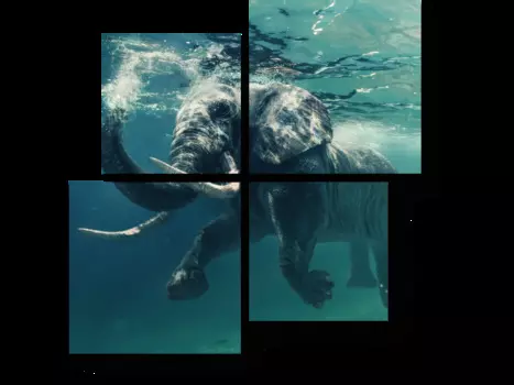 Модульная картина Picsis