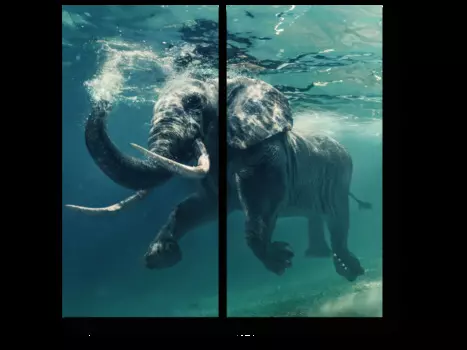 Модульная картина Picsis