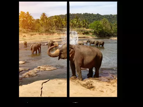 Модульная картина Picsis