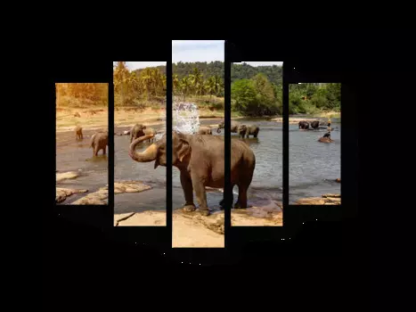 Модульная картина Picsis