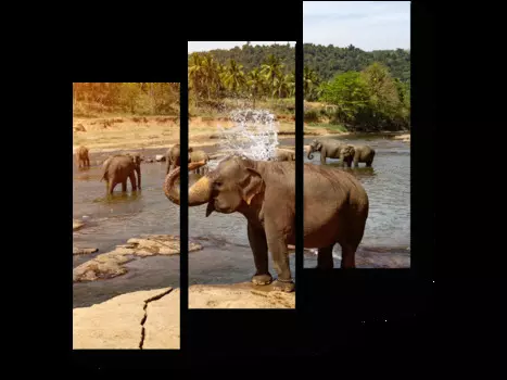 Модульная картина Picsis