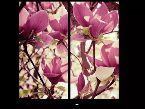 Модульная картина Picsis