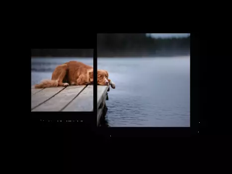 Модульная картина Picsis