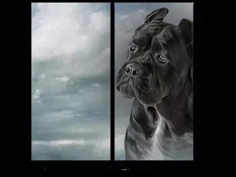 Модульная картина Picsis