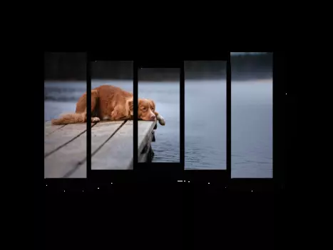 Модульная картина Picsis