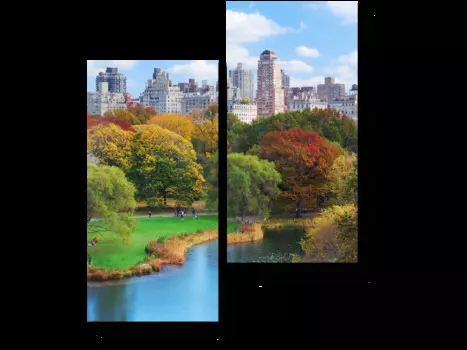 Модульная картина Picsis