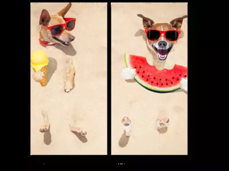 Модульная картина Picsis