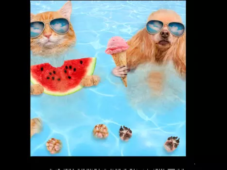 Модульная картина Picsis