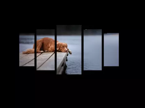 Модульная картина Picsis